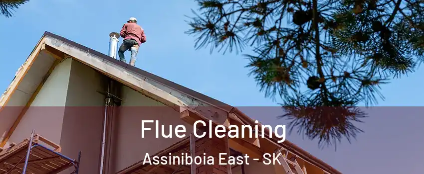  Flue Cleaning Assiniboia East - SK