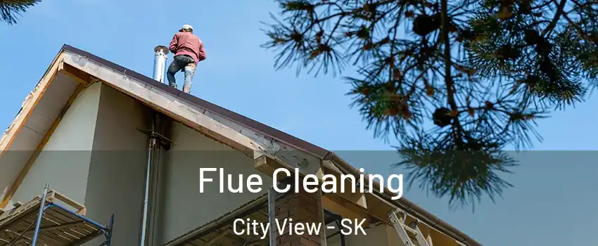  Flue Cleaning City View - SK
