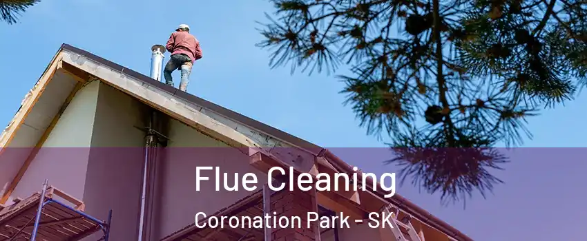  Flue Cleaning Coronation Park - SK