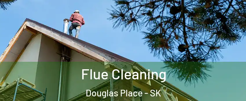  Flue Cleaning Douglas Place - SK