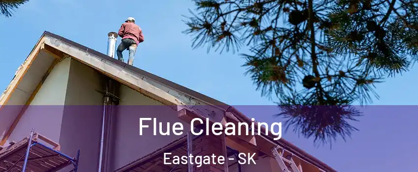  Flue Cleaning Eastgate - SK