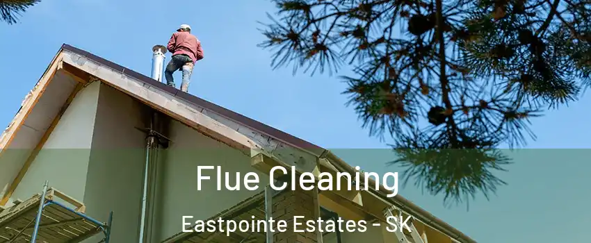  Flue Cleaning Eastpointe Estates - SK