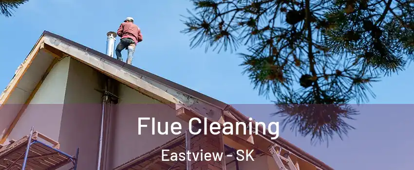  Flue Cleaning Eastview - SK