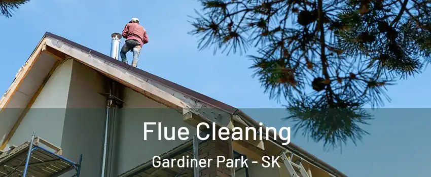  Flue Cleaning Gardiner Park - SK