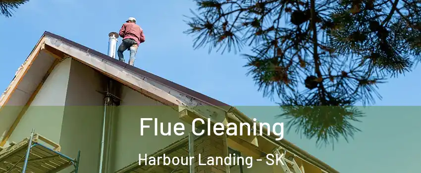  Flue Cleaning Harbour Landing - SK