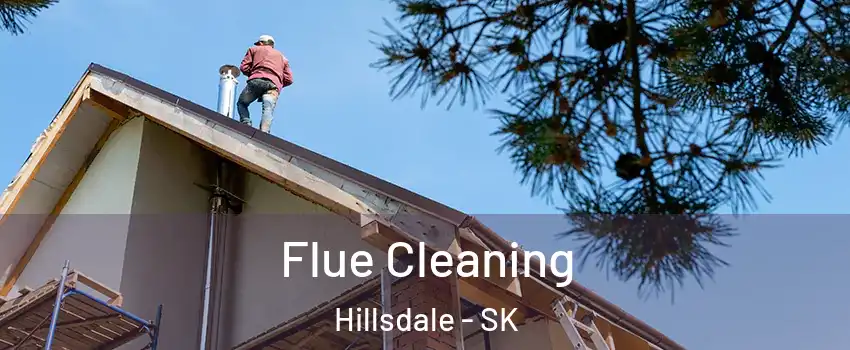  Flue Cleaning Hillsdale - SK
