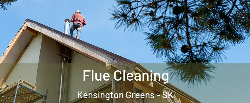  Flue Cleaning Kensington Greens - SK