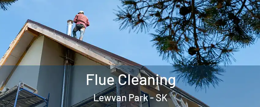  Flue Cleaning Lewvan Park - SK