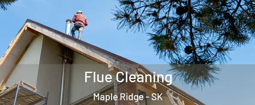  Flue Cleaning Maple Ridge - SK