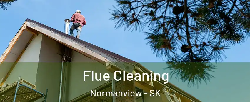  Flue Cleaning Normanview - SK