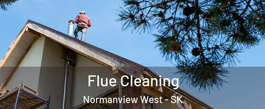  Flue Cleaning Normanview West - SK