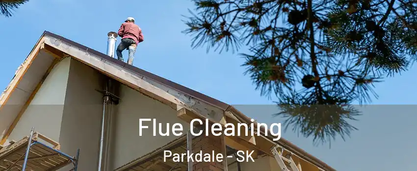  Flue Cleaning Parkdale - SK