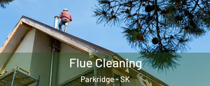  Flue Cleaning Parkridge - SK