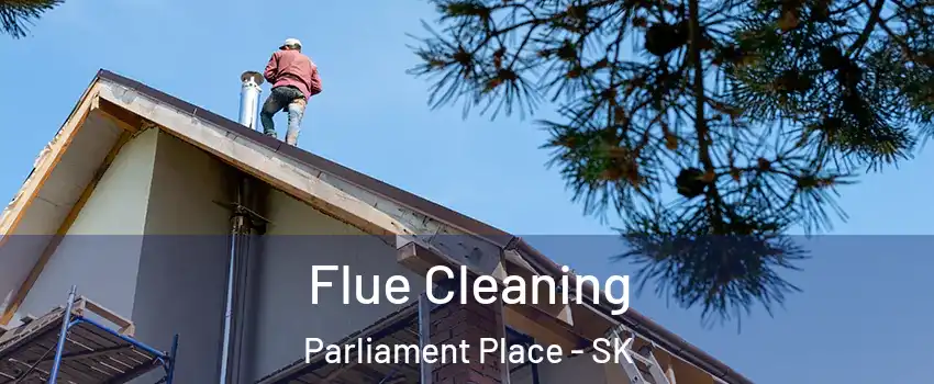  Flue Cleaning Parliament Place - SK