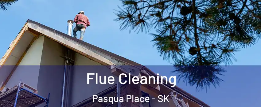  Flue Cleaning Pasqua Place - SK