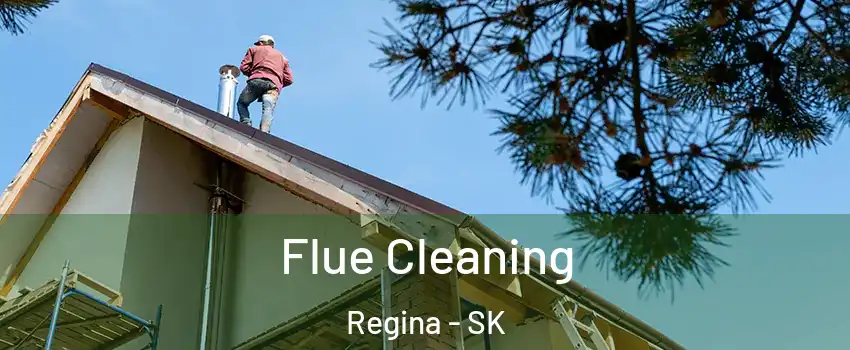  Flue Cleaning Regina - SK