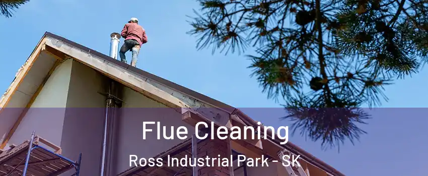  Flue Cleaning Ross Industrial Park - SK