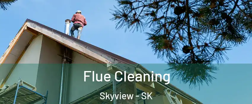  Flue Cleaning Skyview - SK