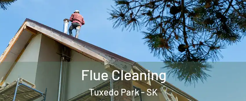  Flue Cleaning Tuxedo Park - SK