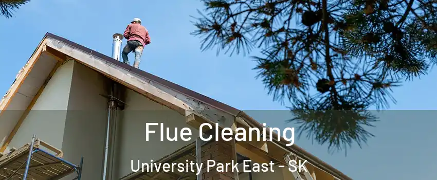  Flue Cleaning University Park East - SK