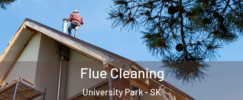  Flue Cleaning University Park - SK