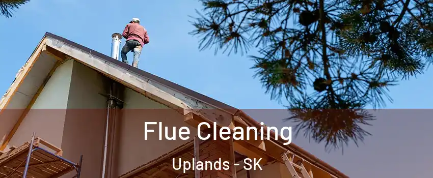  Flue Cleaning Uplands - SK