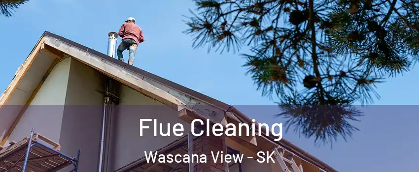  Flue Cleaning Wascana View - SK