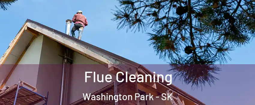  Flue Cleaning Washington Park - SK