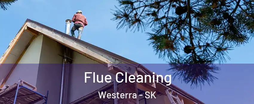  Flue Cleaning Westerra - SK