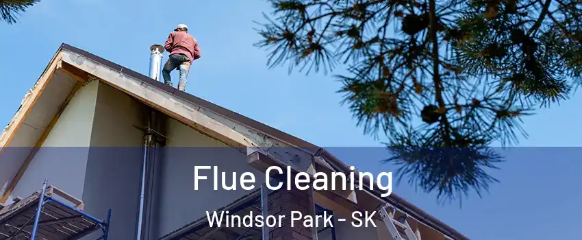  Flue Cleaning Windsor Park - SK