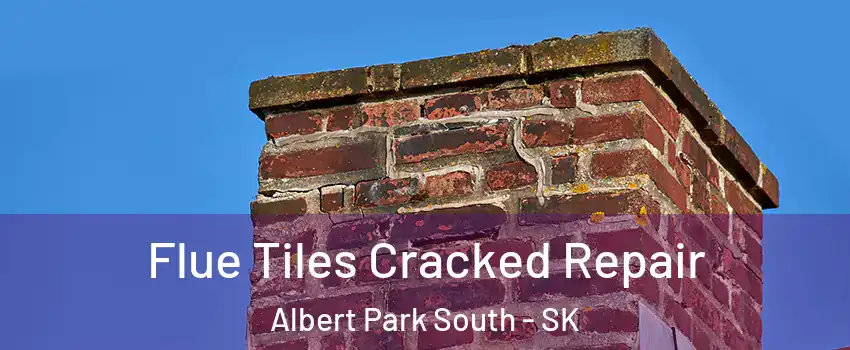  Flue Tiles Cracked Repair Albert Park South - SK