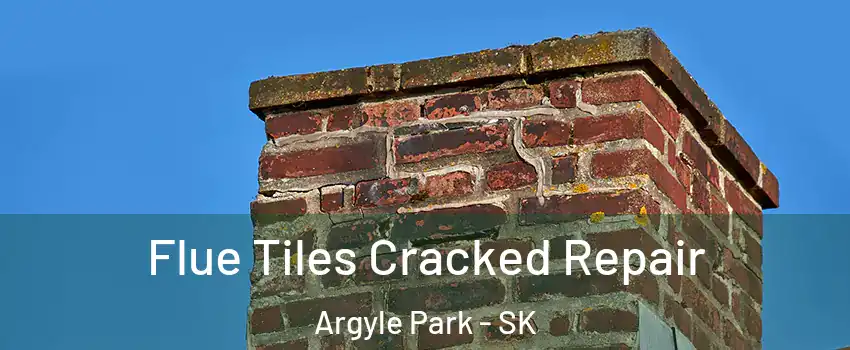  Flue Tiles Cracked Repair Argyle Park - SK