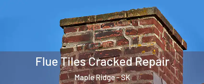  Flue Tiles Cracked Repair Maple Ridge - SK