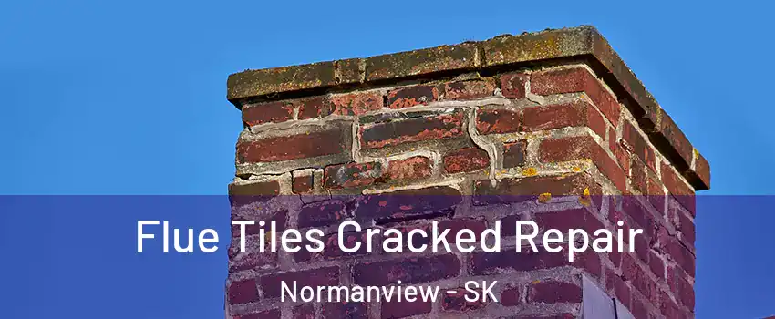  Flue Tiles Cracked Repair Normanview - SK