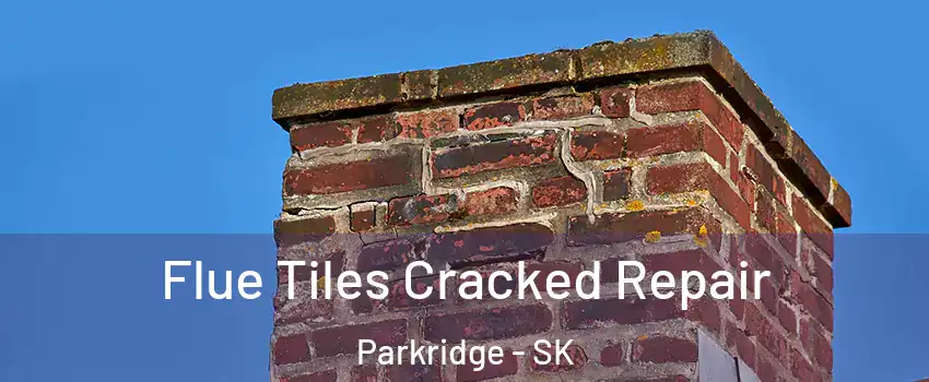  Flue Tiles Cracked Repair Parkridge - SK