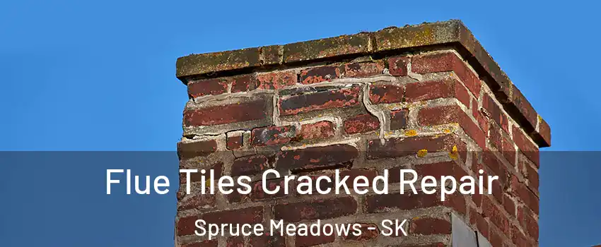  Flue Tiles Cracked Repair Spruce Meadows - SK