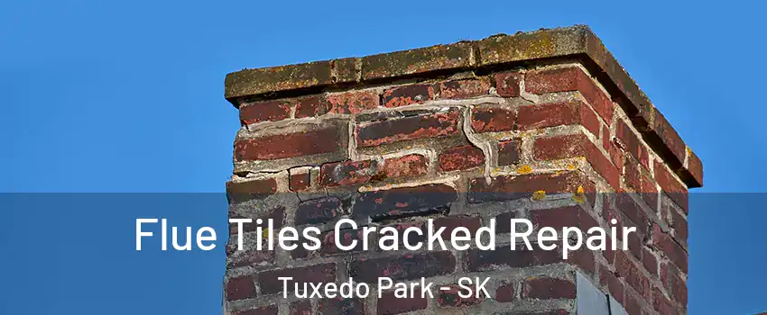  Flue Tiles Cracked Repair Tuxedo Park - SK