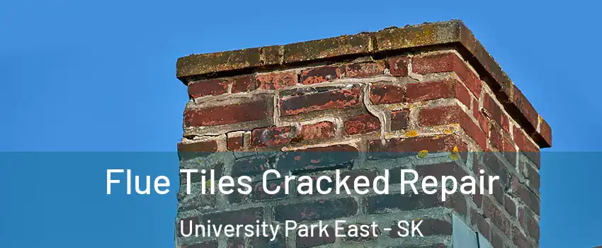 Flue Tiles Cracked Repair University Park East - SK