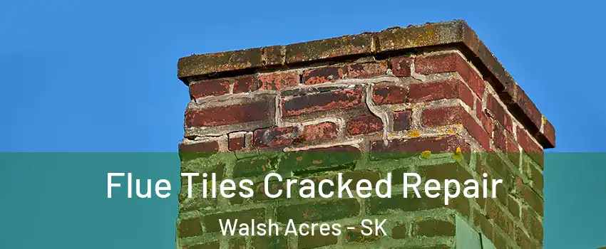  Flue Tiles Cracked Repair Walsh Acres - SK