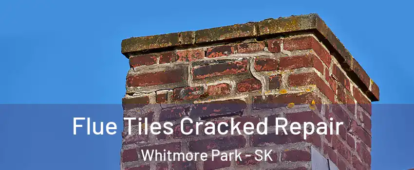  Flue Tiles Cracked Repair Whitmore Park - SK