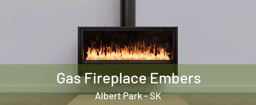 Gas Fireplace Embers Albert Park - SK