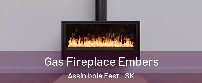  Gas Fireplace Embers Assiniboia East - SK