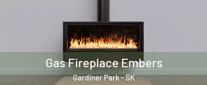  Gas Fireplace Embers Gardiner Park - SK