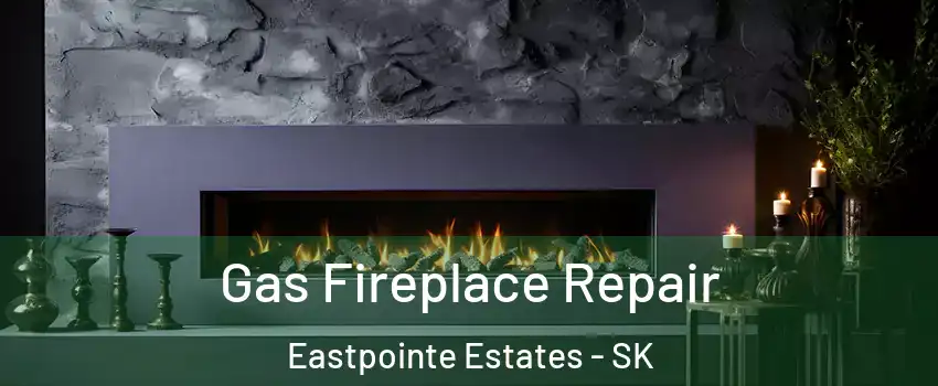  Gas Fireplace Repair Eastpointe Estates - SK