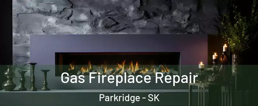  Gas Fireplace Repair Parkridge - SK
