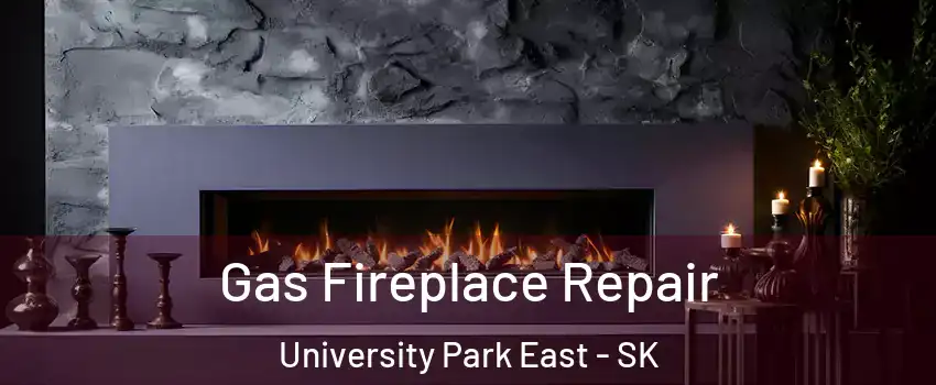  Gas Fireplace Repair University Park East - SK