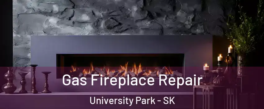  Gas Fireplace Repair University Park - SK
