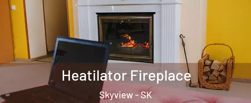  Heatilator Fireplace Skyview - SK