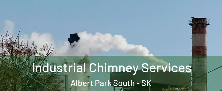  Industrial Chimney Services Albert Park South - SK