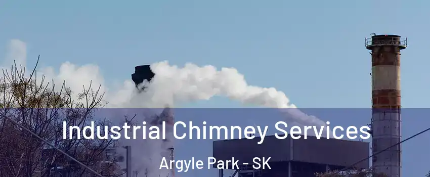  Industrial Chimney Services Argyle Park - SK